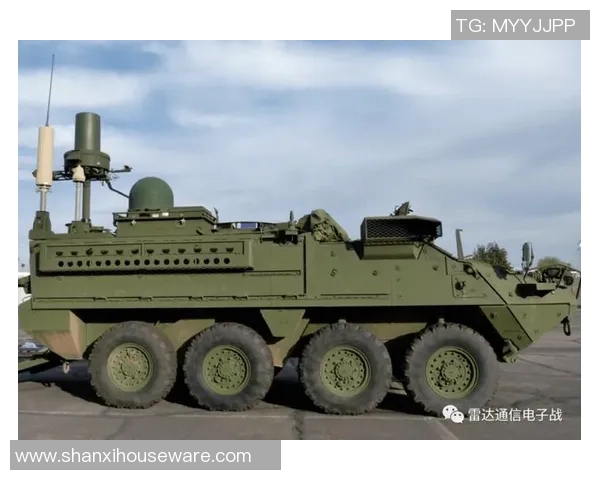 上海飞盘队的阵地战解析与战术创新探讨